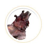 Dried Grasscutter – Wild Harvest – Big Size