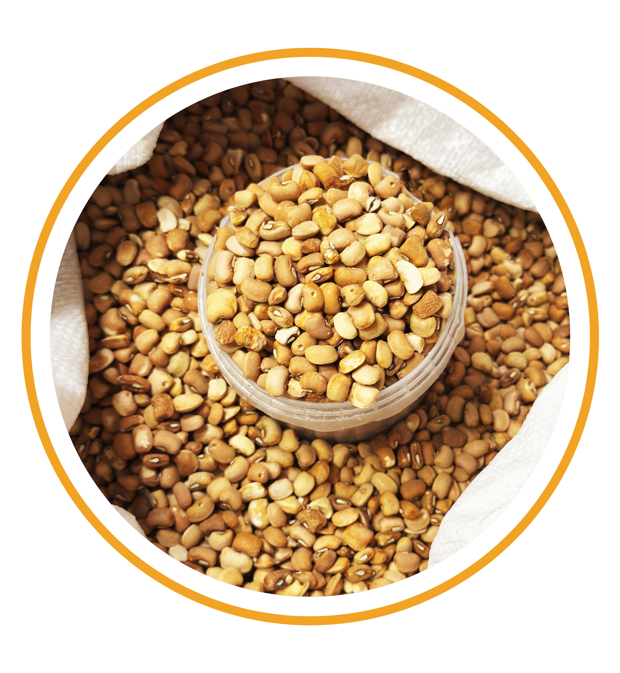 Honey Beans – 1 Cup