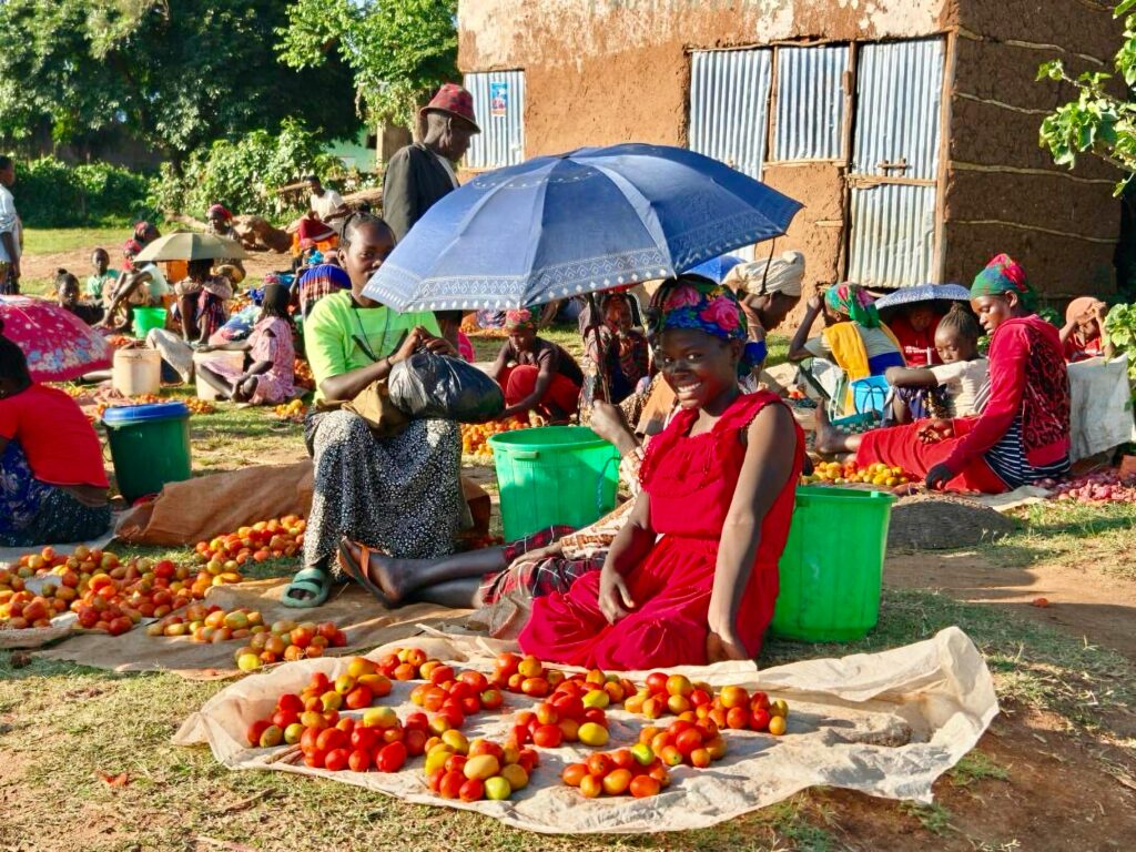 Vibrant village market scene with people sorting and selling ripe tomatoes.